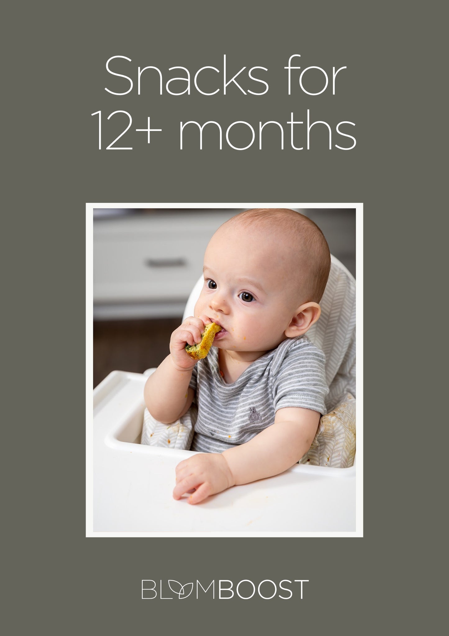 Snacks for 12+ months